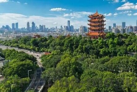 日韩av在-探索日韩AV在文化与市场中的独特位置